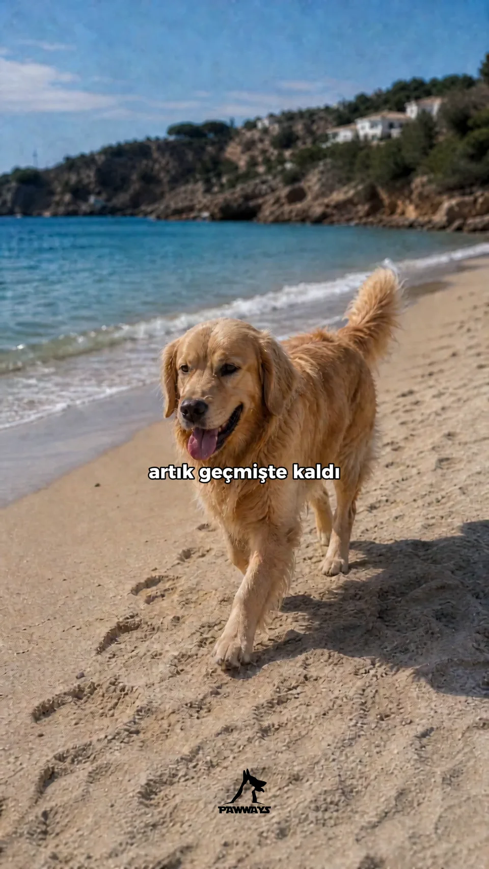 Lifestyle Reklam Videosu